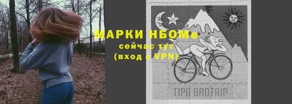 спайс Пересвет