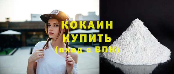 спайс Пересвет