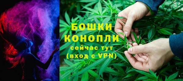 спайс Пересвет