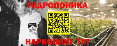 тгк Канаш