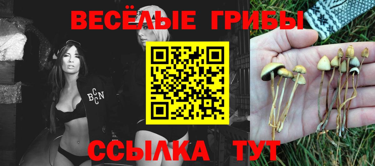 Псилоцибиновые грибы Psilocybine cubensis  Вход с VPN  Галлюциногенные грибы Psilocybe  Луховицы 