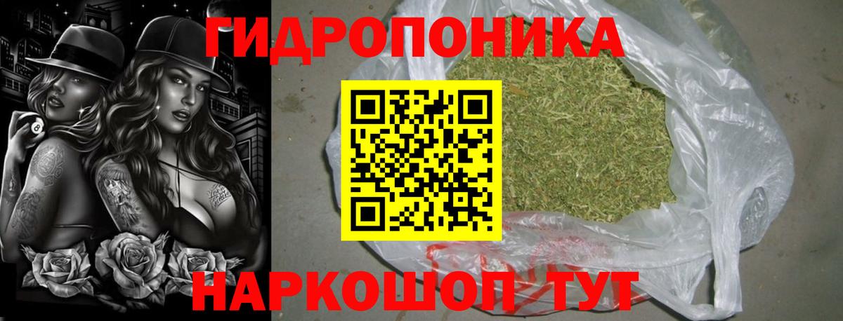 Шишки марихуана MAZAR  Конопля White Widow  МАРИХУАНА ГИДРОПОН  Луховицы  Конопля Bruce Banner 